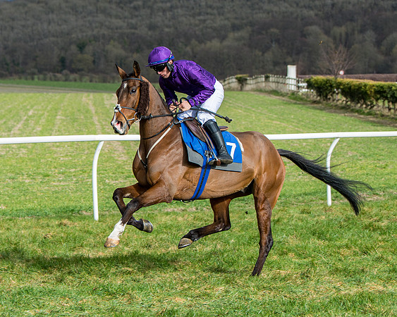 Race 4 - PPORA Novice Riders  (43 of 197)