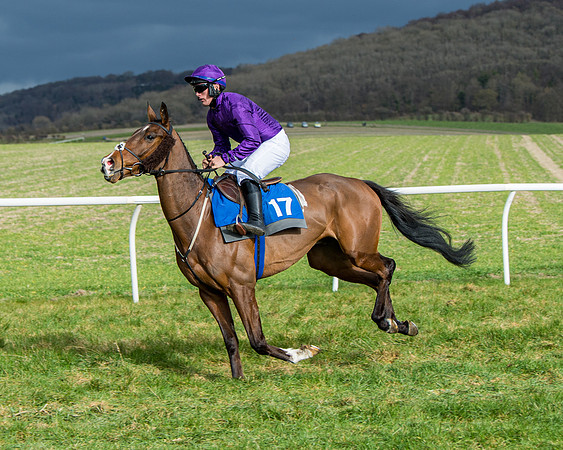 Race 4 - PPORA Novice Riders  (44 of 197)