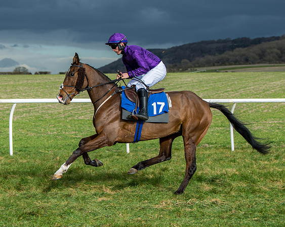 Race 4 - PPORA Novice Riders  (46 of 197)