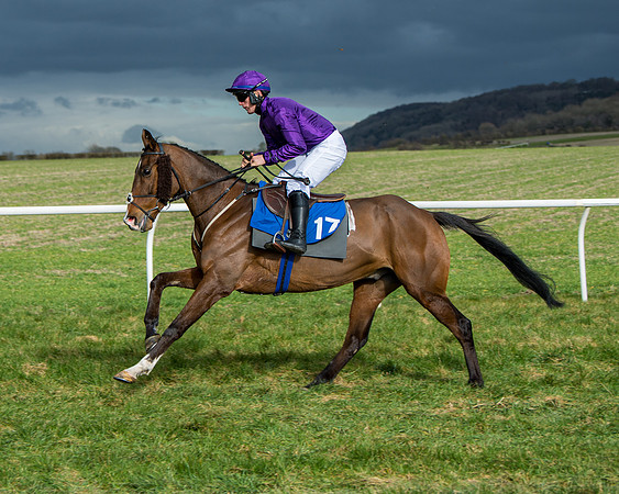 Race 4 - PPORA Novice Riders  (47 of 197)