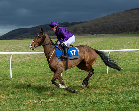 Race 4 - PPORA Novice Riders  (45 of 197)