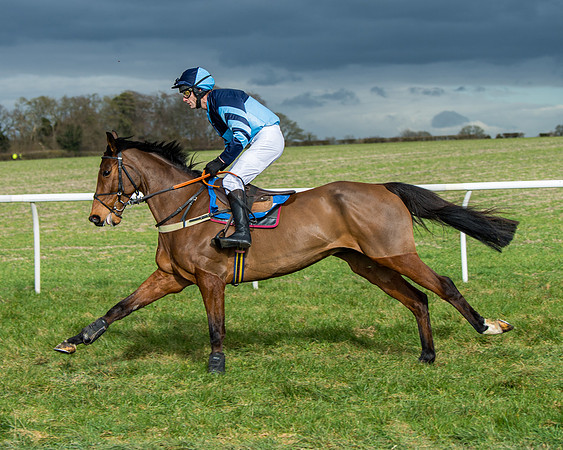 Race 4 - PPORA Novice Riders  (57 of 197)