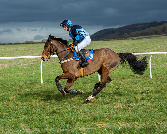 Race 4 - PPORA Novice Riders  (55 of 197)