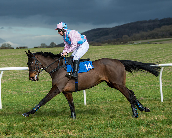 Race 4 - PPORA Novice Riders  (59 of 197)