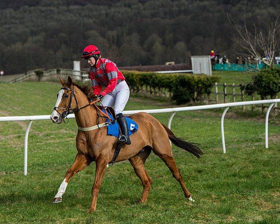 Race 4 - PPORA Novice Riders  (62 of 197)