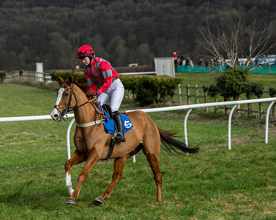 Race 4 - PPORA Novice Riders  (61 of 197)