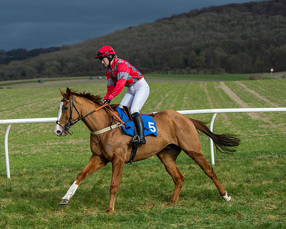 Race 4 - PPORA Novice Riders  (64 of 197)