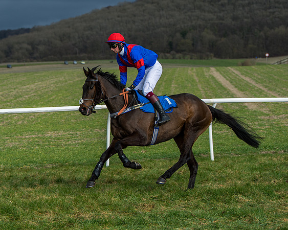 Race 4 - PPORA Novice Riders  (67 of 197)