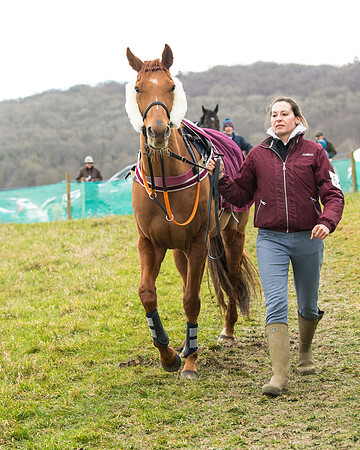 Race 5 - Ineos Grenadier Home Counties Grand National (4 of 142)