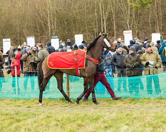 Race 5 - Ineos Grenadier Home Counties Grand National (7 of 142)