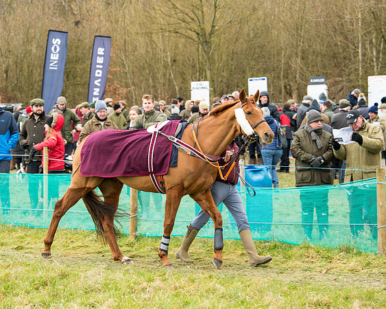 Race 5 - Ineos Grenadier Home Counties Grand National (8 of 142)