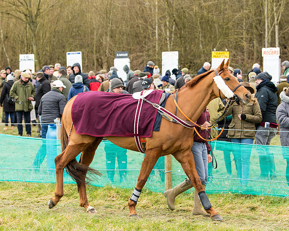 Race 5 - Ineos Grenadier Home Counties Grand National (9 of 142)