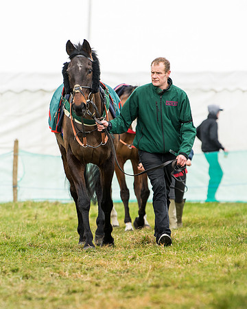 Race 5 - Ineos Grenadier Home Counties Grand National (16 of 142)