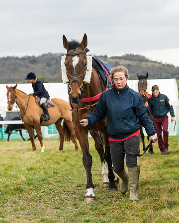 Race 5 - Ineos Grenadier Home Counties Grand National (19 of 142)