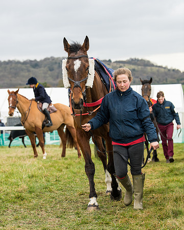 Race 5 - Ineos Grenadier Home Counties Grand National (20 of 142)