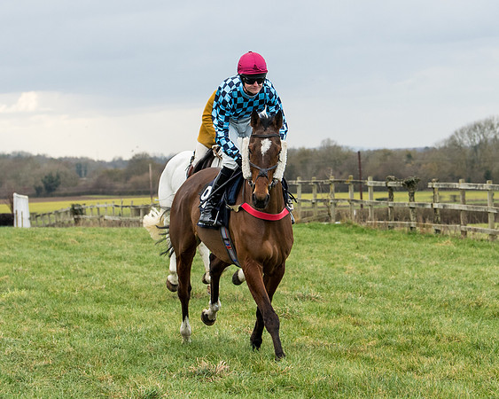 Race 5 - Ineos Grenadier Home Counties Grand National (27 of 142)