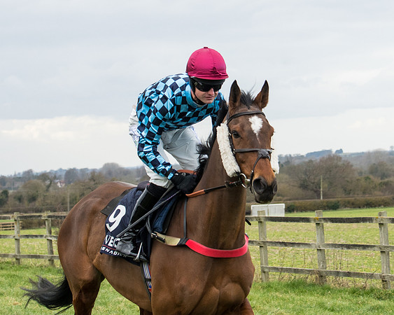 Race 5 - Ineos Grenadier Home Counties Grand National (28 of 142)