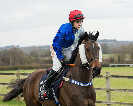 Race 5 - Ineos Grenadier Home Counties Grand National (29 of 142)