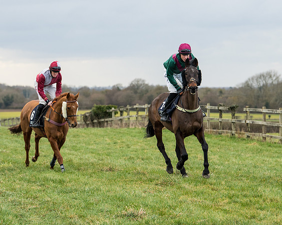 Race 5 - Ineos Grenadier Home Counties Grand National (30 of 142)