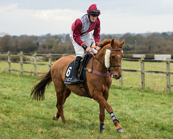 Race 5 - Ineos Grenadier Home Counties Grand National (31 of 142)