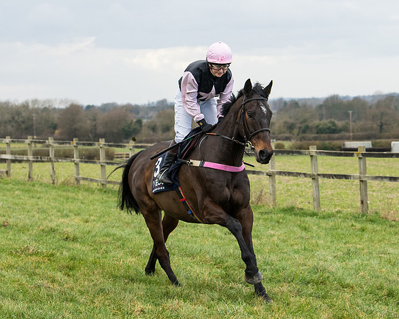 Race 5 - Ineos Grenadier Home Counties Grand National (33 of 142)