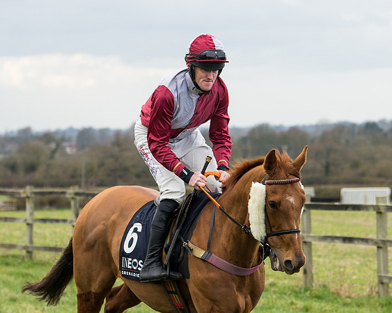 Race 5 - Ineos Grenadier Home Counties Grand National (32 of 142)