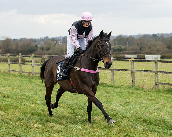 Race 5 - Ineos Grenadier Home Counties Grand National (34 of 142)