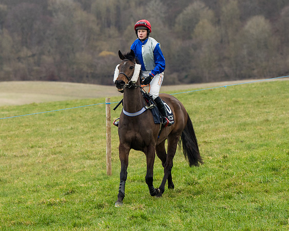 Race 5 - Ineos Grenadier Home Counties Grand National (38 of 142)