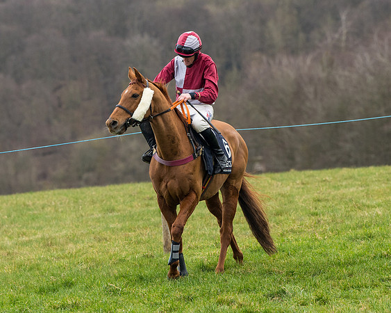 Race 5 - Ineos Grenadier Home Counties Grand National (41 of 142)