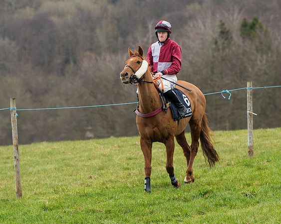 Race 5 - Ineos Grenadier Home Counties Grand National (40 of 142)