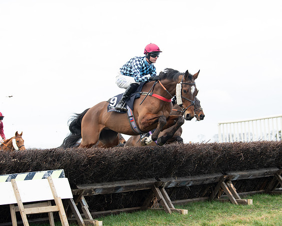 Race 5 - Ineos Grenadier Home Counties Grand National (46 of 142)