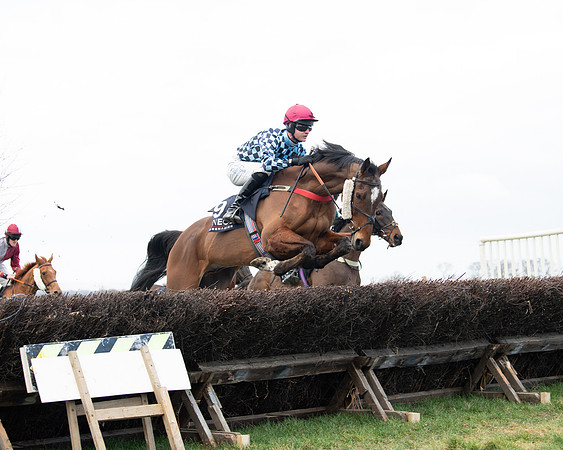 Race 5 - Ineos Grenadier Home Counties Grand National (45 of 142)