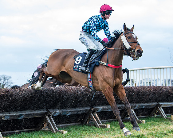Race 5 - Ineos Grenadier Home Counties Grand National (49 of 142)