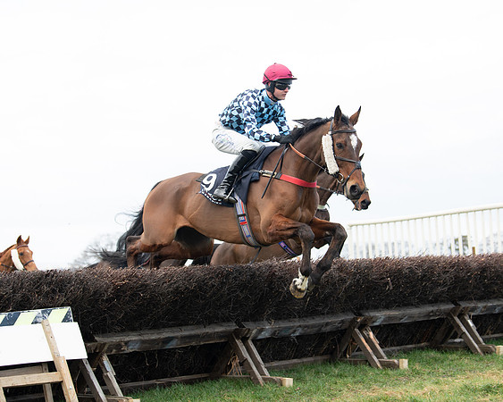 Race 5 - Ineos Grenadier Home Counties Grand National (47 of 142)