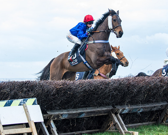 Race 5 - Ineos Grenadier Home Counties Grand National (50 of 142)