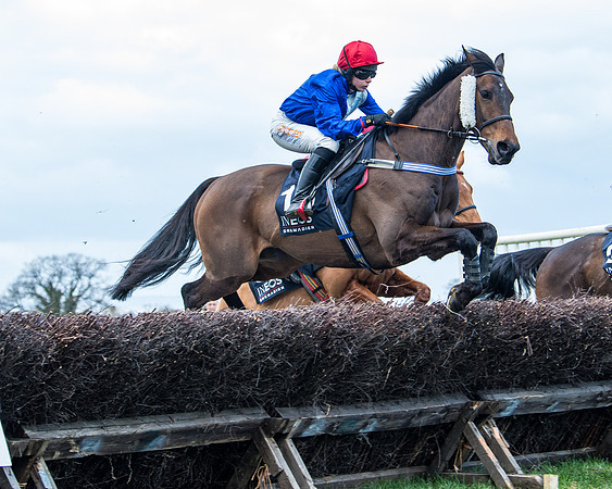 Race 5 - Ineos Grenadier Home Counties Grand National (52 of 142)