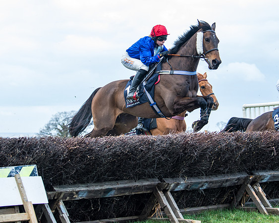 Race 5 - Ineos Grenadier Home Counties Grand National (51 of 142)