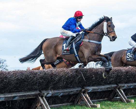 Race 5 - Ineos Grenadier Home Counties Grand National (53 of 142)