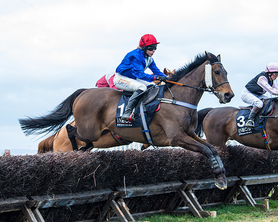 Race 5 - Ineos Grenadier Home Counties Grand National (54 of 142)