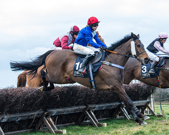 Race 5 - Ineos Grenadier Home Counties Grand National (55 of 142)
