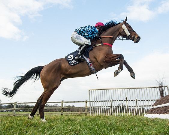 Race 5 - Ineos Grenadier Home Counties Grand National (59 of 142)