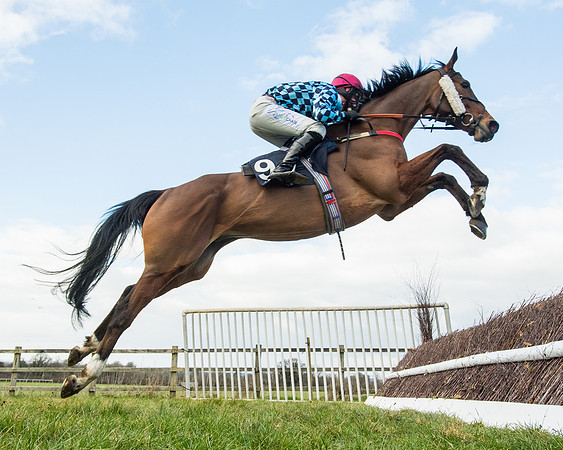Race 5 - Ineos Grenadier Home Counties Grand National (60 of 142)