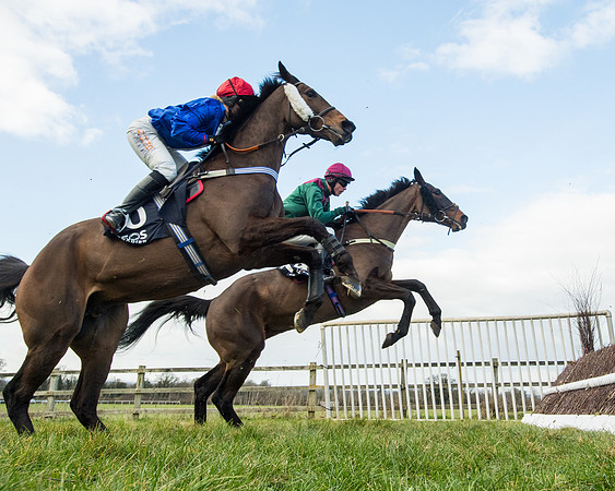Race 5 - Ineos Grenadier Home Counties Grand National (61 of 142)
