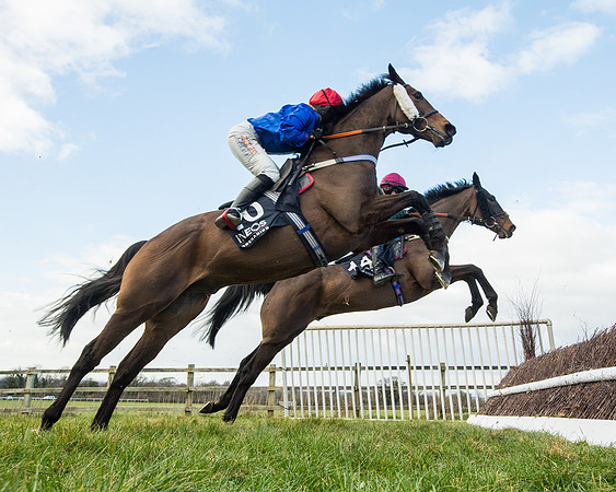 Race 5 - Ineos Grenadier Home Counties Grand National (62 of 142)