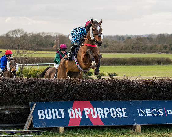 Race 5 - Ineos Grenadier Home Counties Grand National (63 of 142)