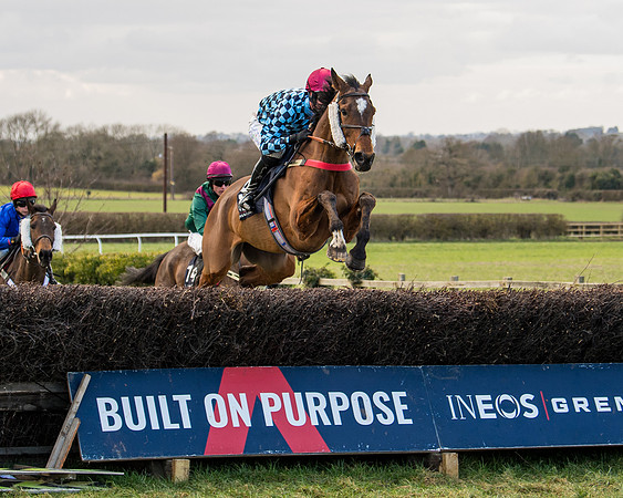 Race 5 - Ineos Grenadier Home Counties Grand National (64 of 142)