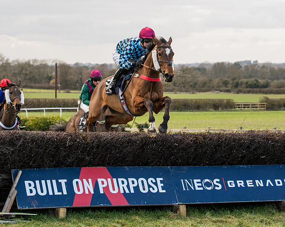 Race 5 - Ineos Grenadier Home Counties Grand National (65 of 142)