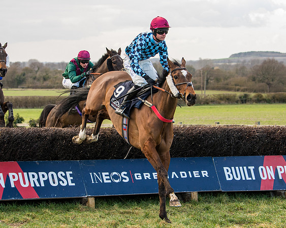 Race 5 - Ineos Grenadier Home Counties Grand National (69 of 142)