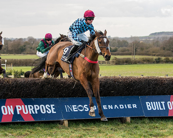 Race 5 - Ineos Grenadier Home Counties Grand National (68 of 142)