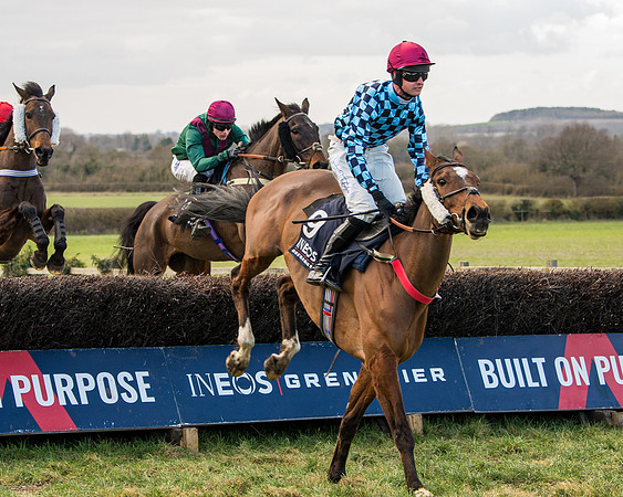 Race 5 - Ineos Grenadier Home Counties Grand National (70 of 142)